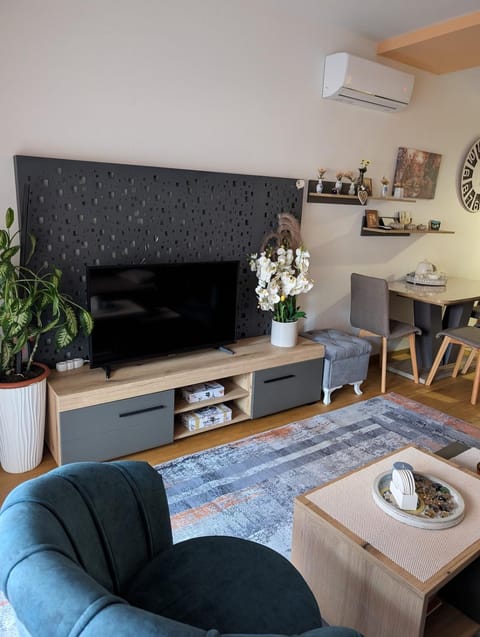 Apartmant Aria Apartment in Federation of Bosnia and Herzegovina