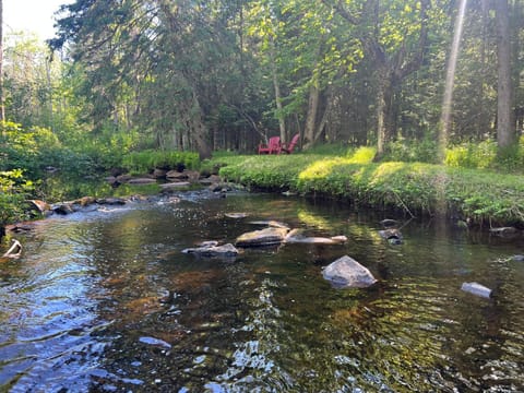 Natural landscape, River view
