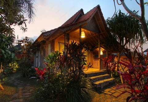 Property building, Garden, Garden, Balcony/Terrace, Other, Photo of the whole room, Garden view