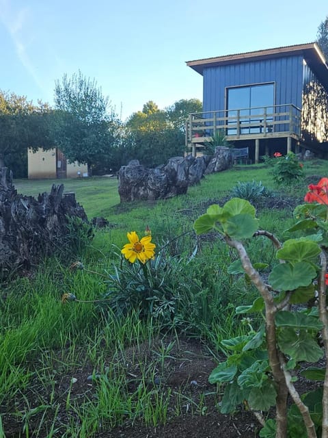 Off site, Garden