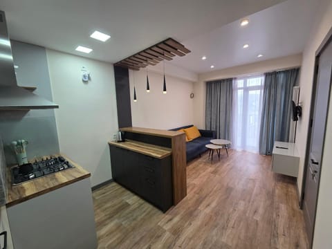 Kitchen or kitchenette, Photo of the whole room, minibar, stove