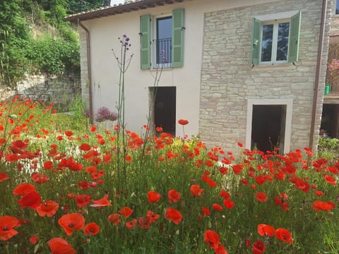 Property building, Day, Garden view