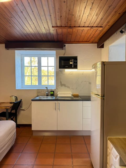 Kitchen or kitchenette, kitchen