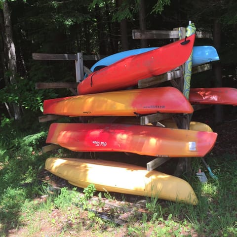 Day, Activities, Summer, Lake view