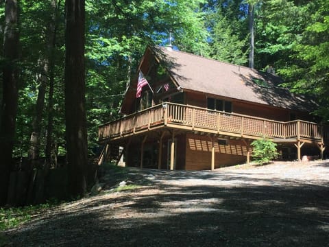 Natural landscape, Summer