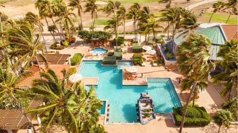 Property building, Day, Garden, Garden view, Pool view, Swimming pool, sunbed