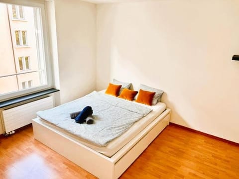 2 Room Flats with Balcony - Hilda Apartment in Zurich City