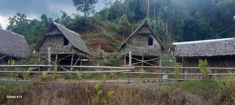Day, Natural landscape