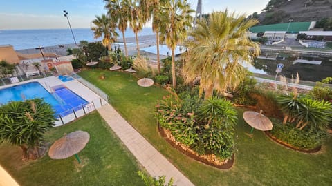 Garden, Swimming pool