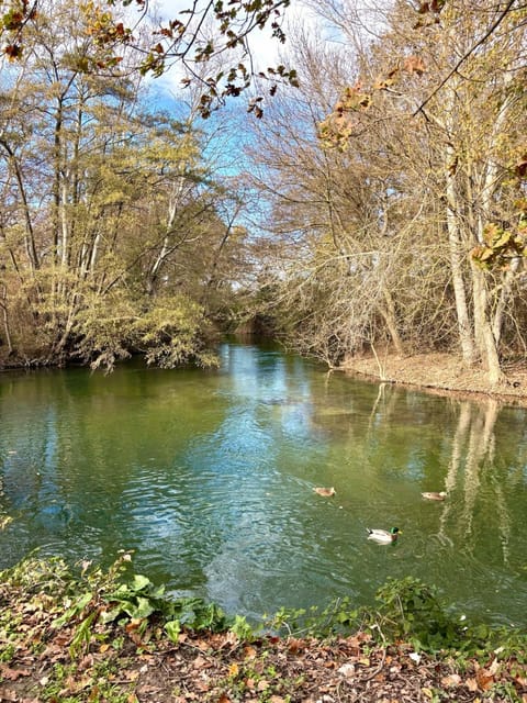 River view