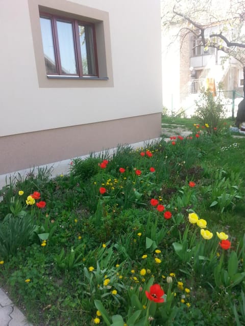 Sweet Dreams Apartment Apartment in Serbia