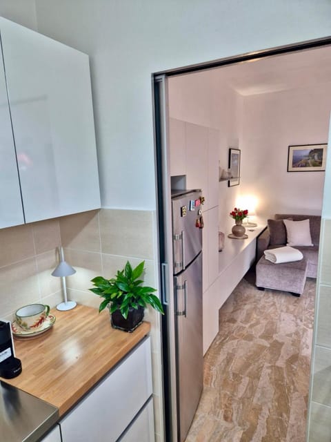 Faggi & Quiet Apartment in Mandello del Lario