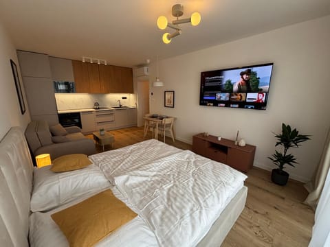 Bed, TV and multimedia, Kitchen or kitchenette, Living room, Bedroom