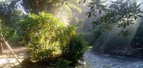 River view