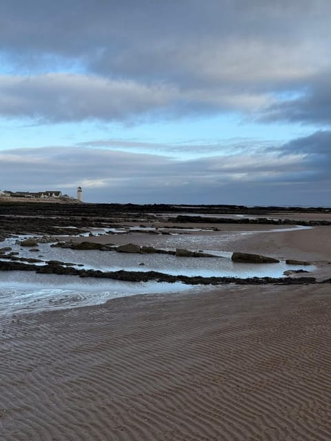 Paws A While Apartment in Southerness