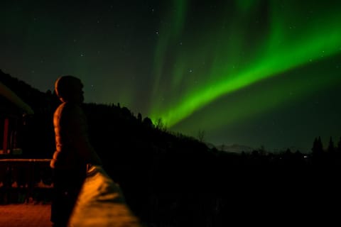 Culture Cabin Retreat Cabin in Nordland, Norway