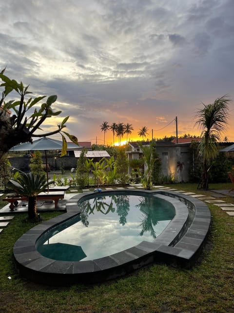 Day, Natural landscape, Garden, Garden, Garden view, Pool view, Swimming pool, Swimming pool, Sunrise, sunbed