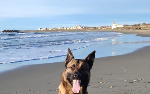 Chez Loulou Campground/
RV Resort in Saintes-Maries-de-la-Mer