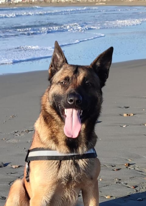 Chez Loulou Campground/
RV Resort in Saintes-Maries-de-la-Mer