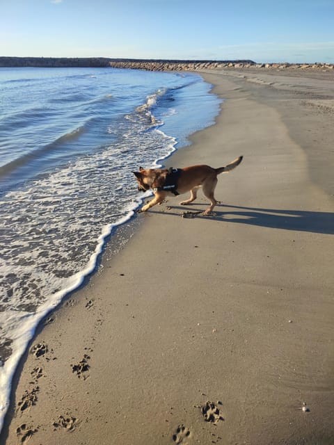 Chez Loulou Campground/
RV Resort in Saintes-Maries-de-la-Mer