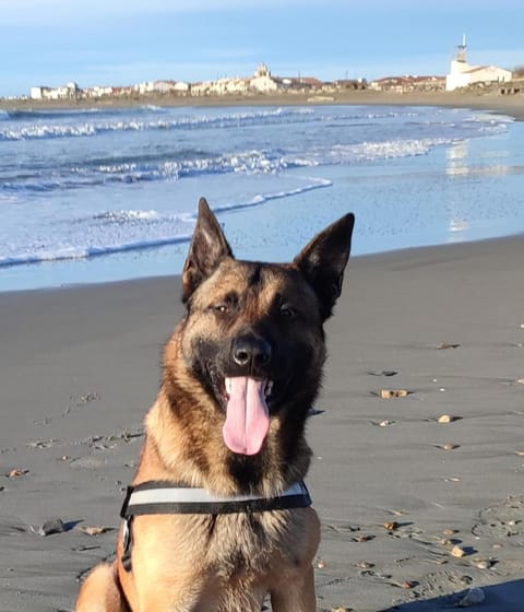 Chez Loulou Campground/
RV Resort in Saintes-Maries-de-la-Mer