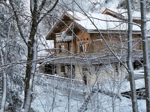 Col de la Faucille Apartment Apartment in Gex