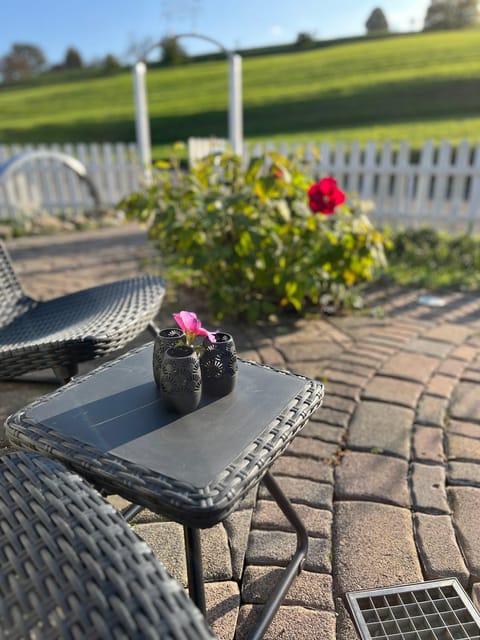 B&B Chalet Grillkota Bed and Breakfast in Schaffhausen, Switzerland