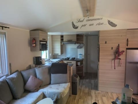 Living room, kitchen