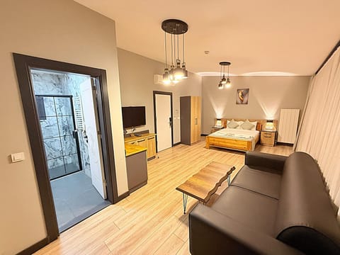 Bed, TV and multimedia, Living room, Photo of the whole room, Seating area, Dining area, Bedroom, wardrobe
