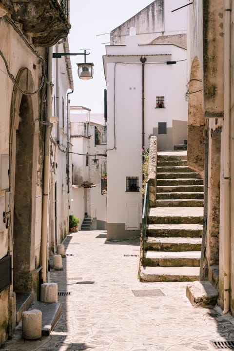 Street view, Quiet street view