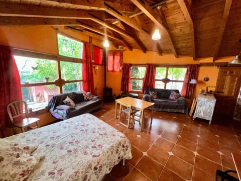 Bed, Living room, Photo of the whole room, Dining area, Bedroom