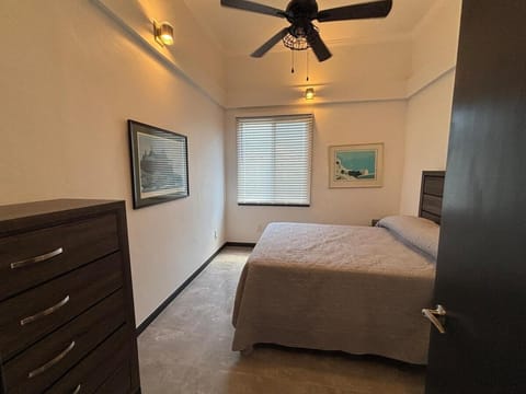 Sib's Crystal Charm The Coziest in Town Apartment in Virgin Islands (U.S.)