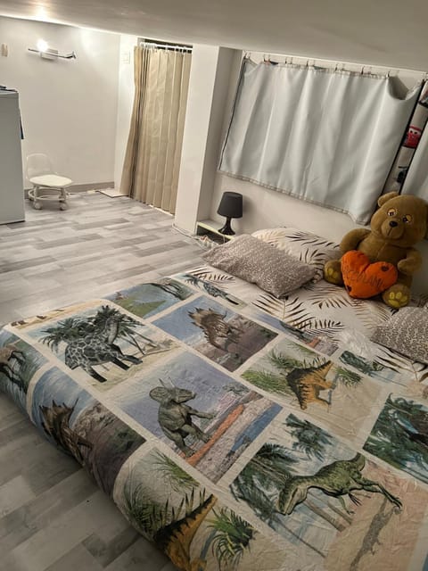 Belle chambre à sous pente au cœur de Bruxelles Vacation rental in Brussels