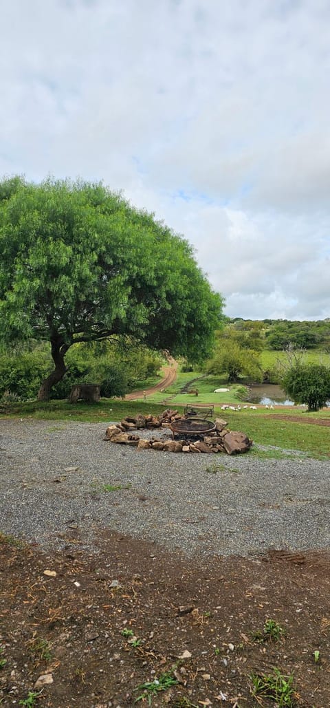 Natural landscape, Garden