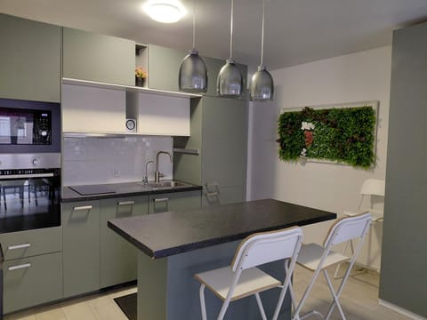 Kitchen or kitchenette, dishwasher, microwave, oven, stove