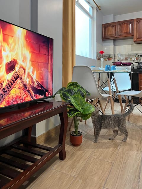 Living room, Evening entertainment