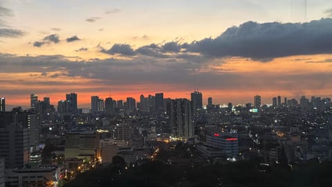 Bird's eye view, City view, Sunset