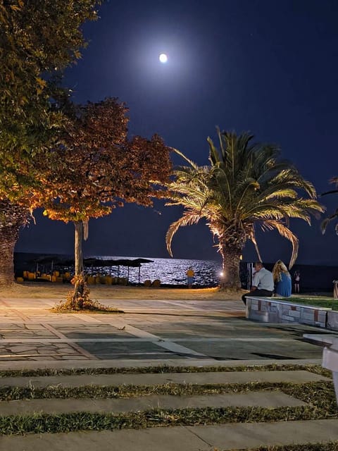 Night