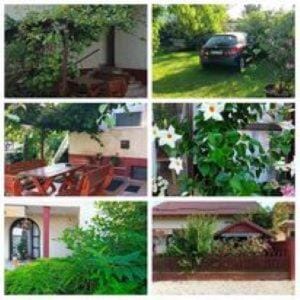 Garden, Balcony/Terrace, Balcony/Terrace, Inner courtyard view, Parking