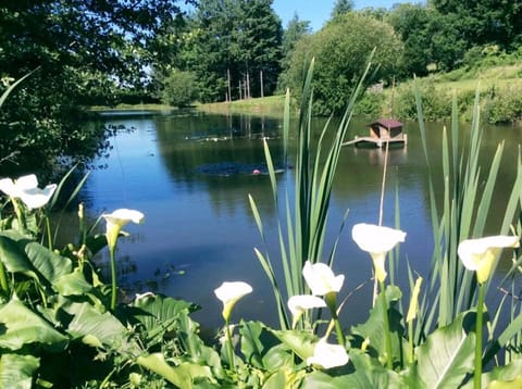 Fishing, Lake view