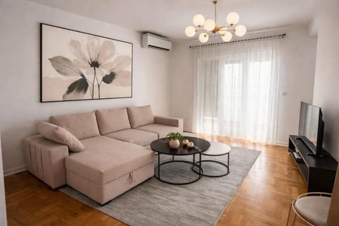 TV and multimedia, Living room, Seating area, air conditioner