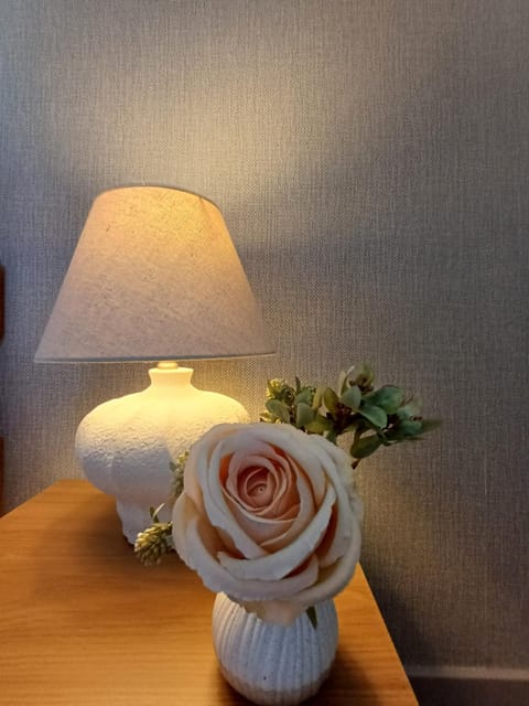 Number 47 Apartment in Hawick