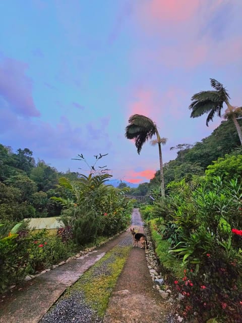 Natural landscape