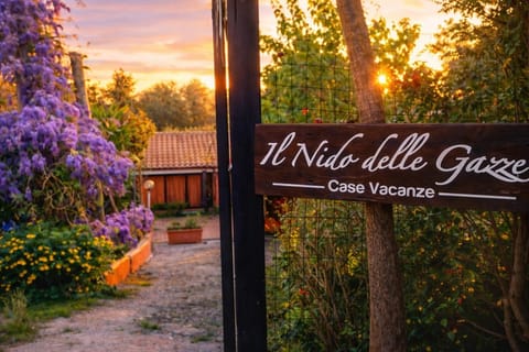 Garden, Street view