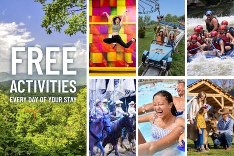 Wild Turkey Cabin Hot Tub, Firepit & Mountain Views Pet-Friendly Cabin in Pigeon Forge