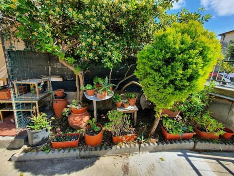 House with garden in Marina di Pisa House in Marina di Pisa
