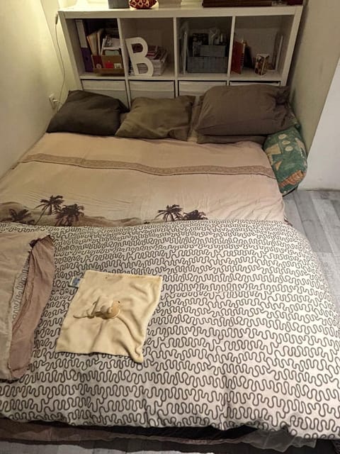 Belle chambre de 1,30 cm de hauteur à Bruxelles midi Vacation rental in Brussels