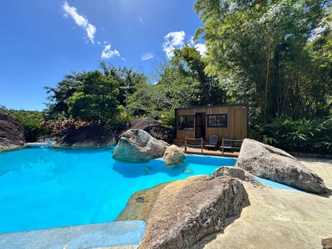 Spring, Natural landscape, Garden, Garden view, Pool view, Swimming pool, sunbed