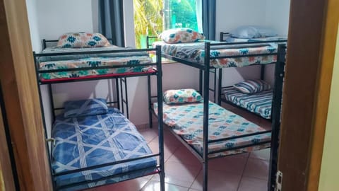 Bed, Photo of the whole room, Bedroom, bunk bed