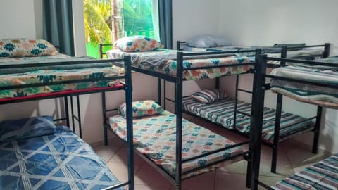 Bed, Photo of the whole room, Bedroom, bunk bed